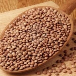 عدس بجبة كندي بالكيلو